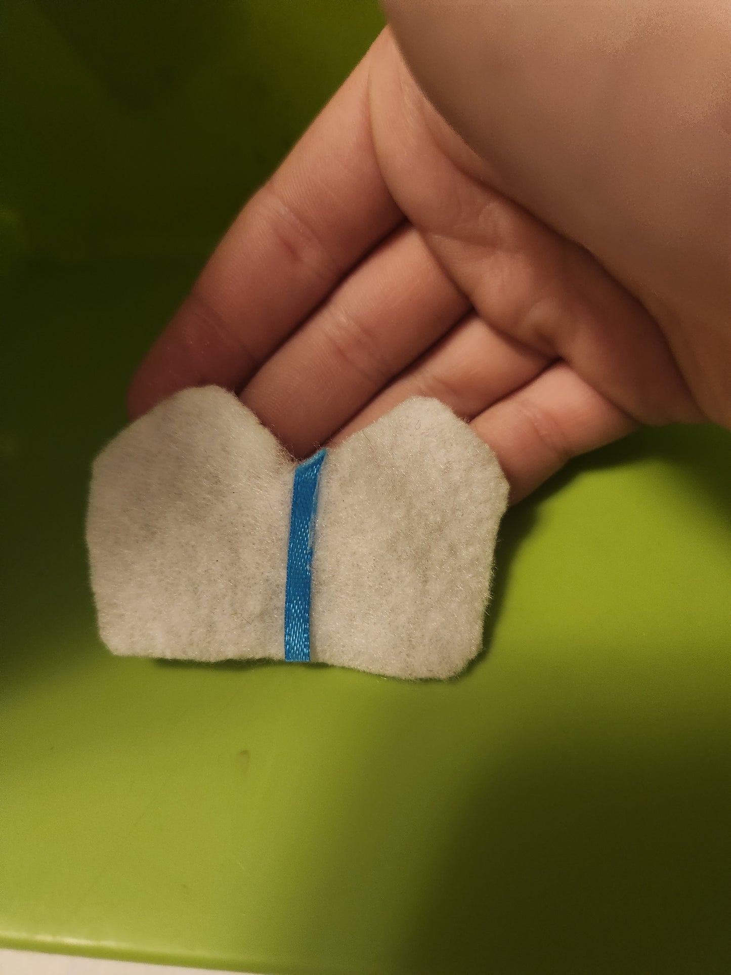 White Saddle Pad with Blue Trim