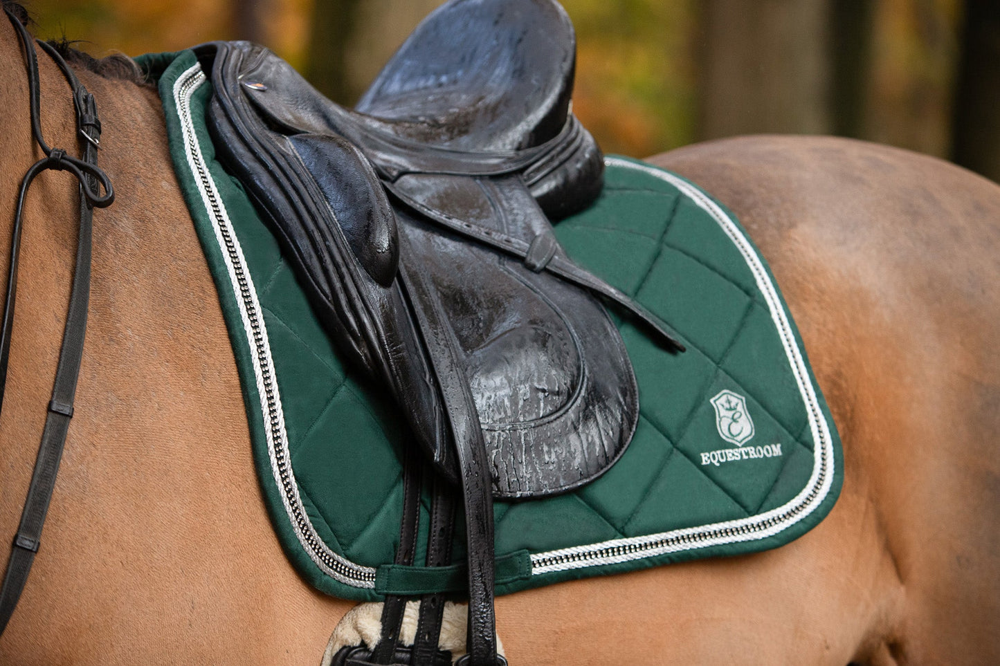 Pine Grove Saddle Pad Set