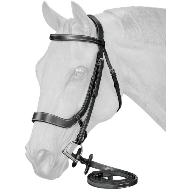 Equitare Cadence Ergonomic Bridle