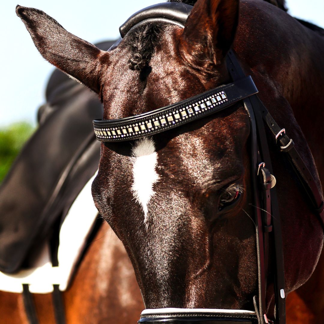 B&W - White Saddle Pad Set