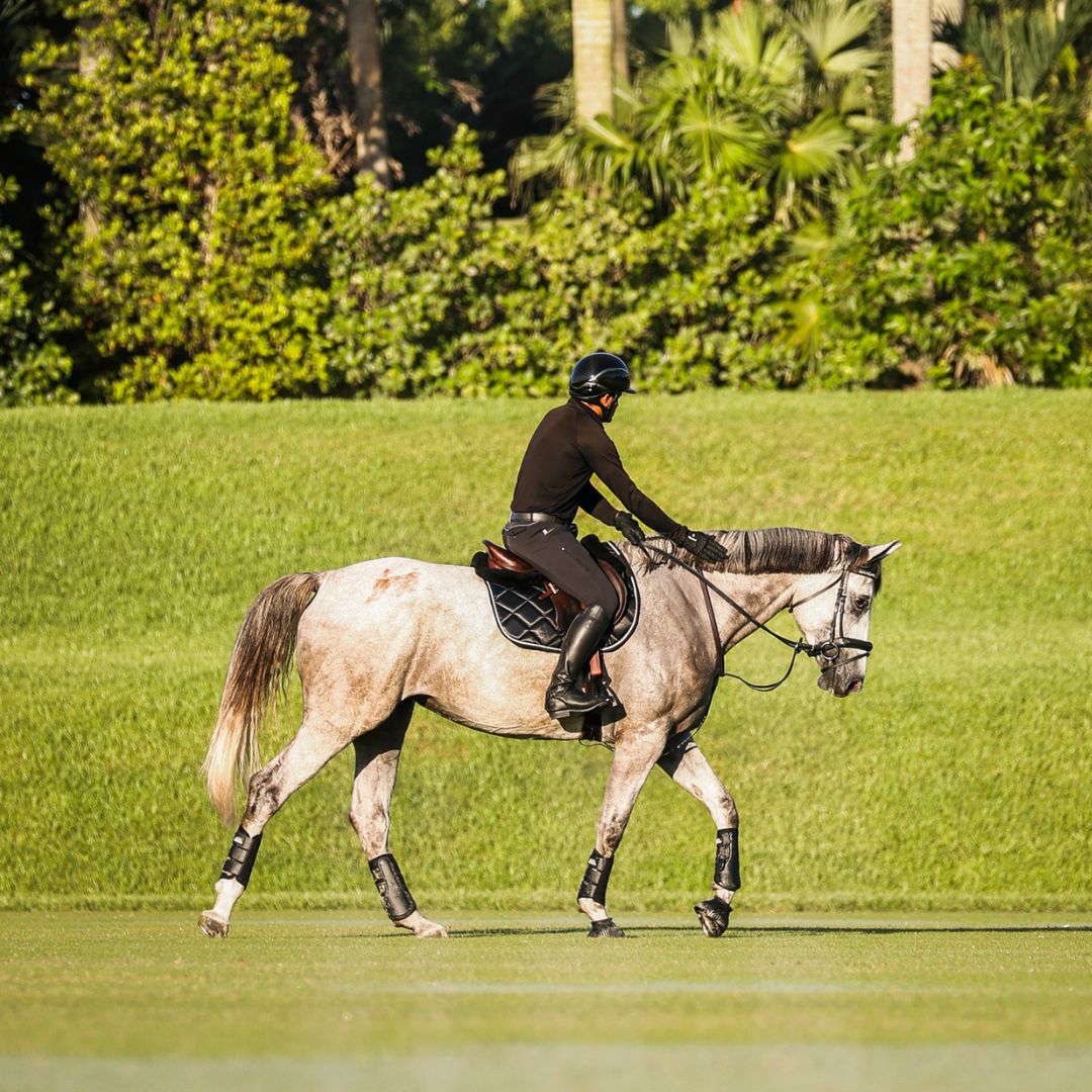 B&W - Black Saddle Pad