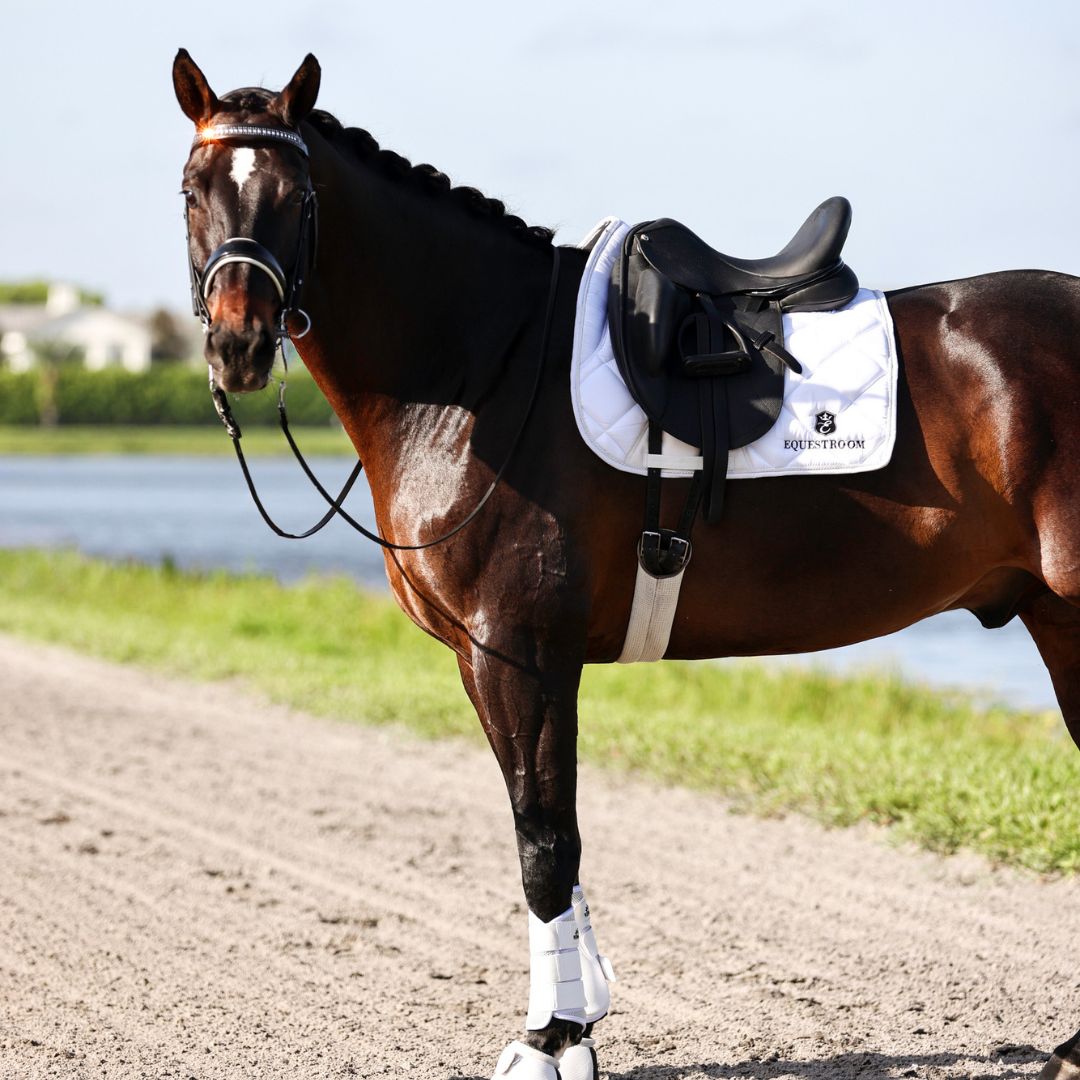 B&W - White Saddle Pad Set