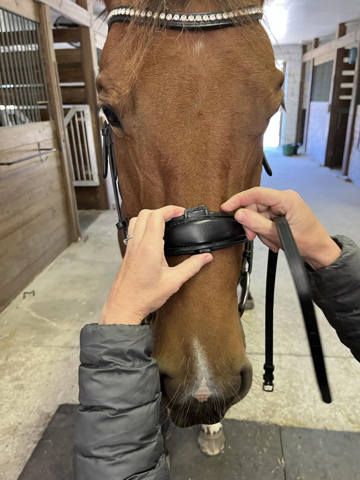 Hidden Flash! Pro-fit Comfortable Bridle with Patent Noseband and Crystal Browband