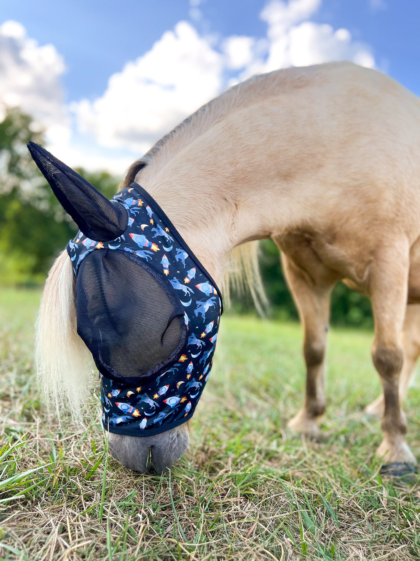 Rocket Donkey Fly Mask