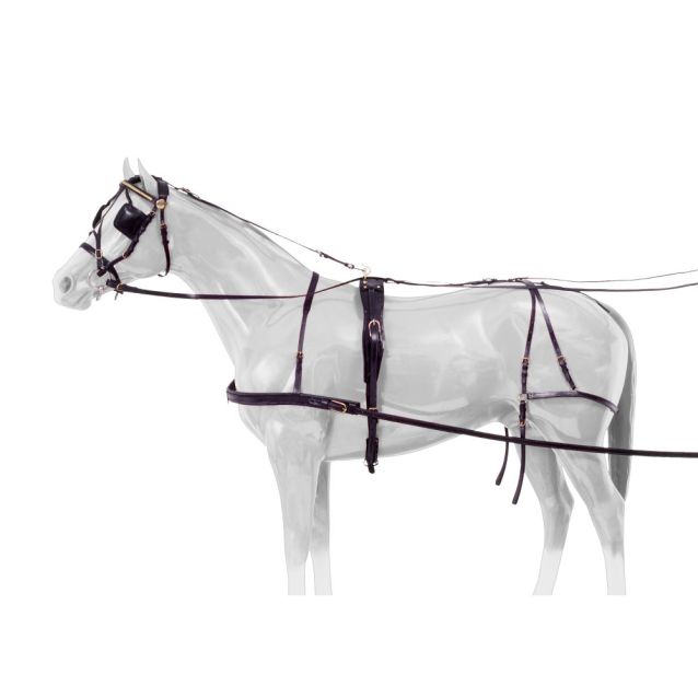 Royal King Leather Cob Harness