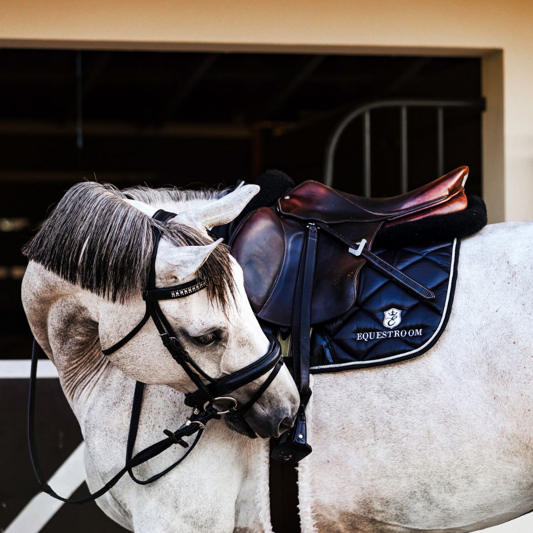 B&W - Black Saddle Pad