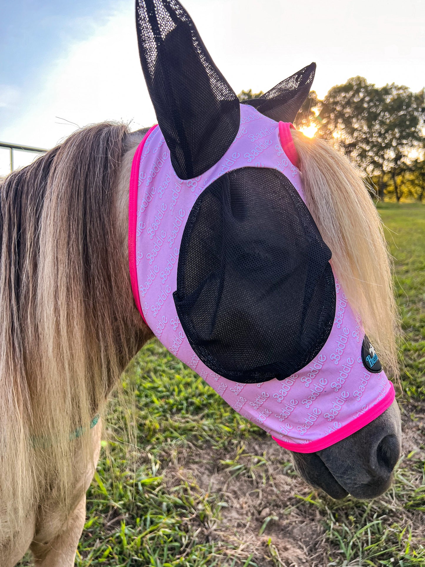 Baddie Fly Mask