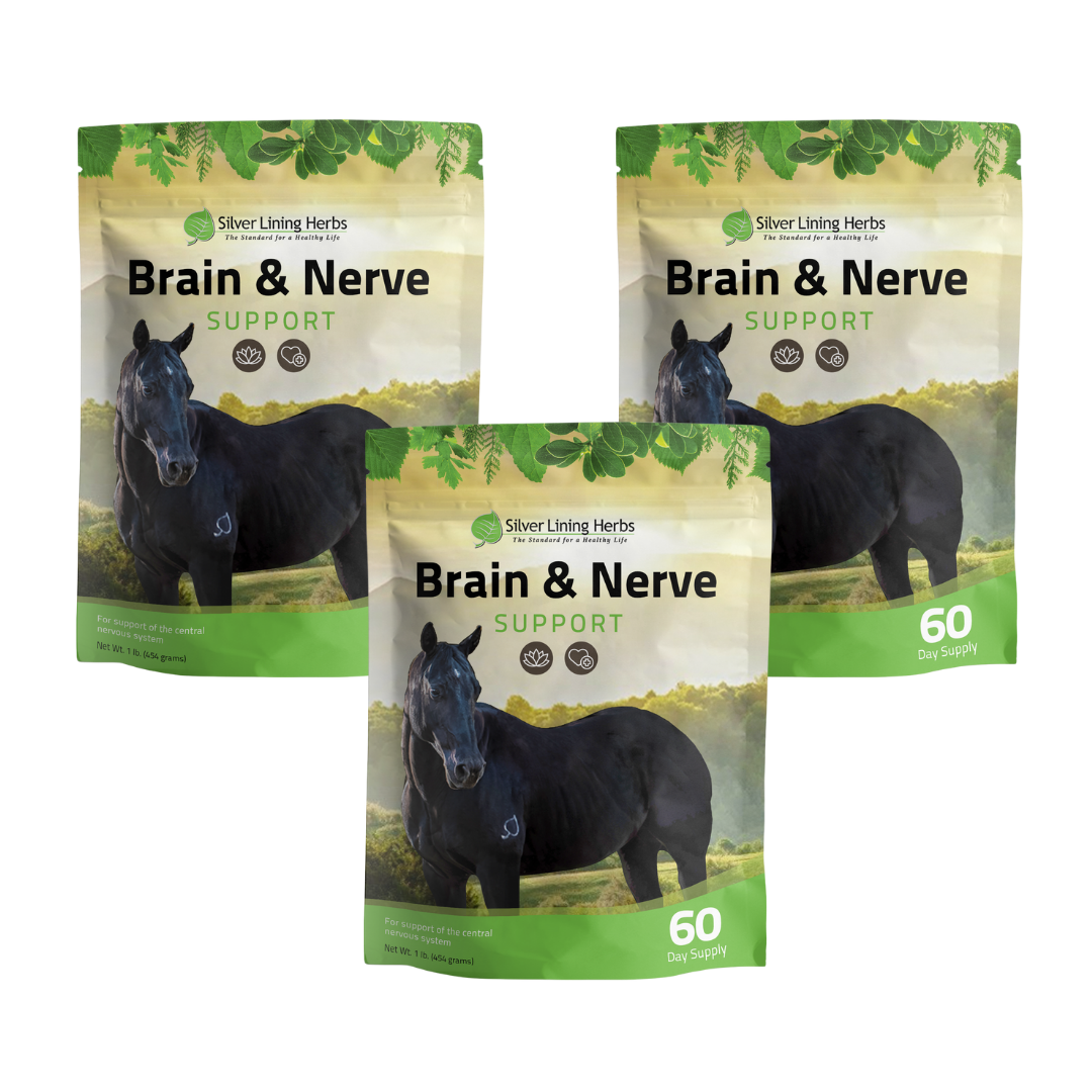 Brain & Nerve Support for Horses