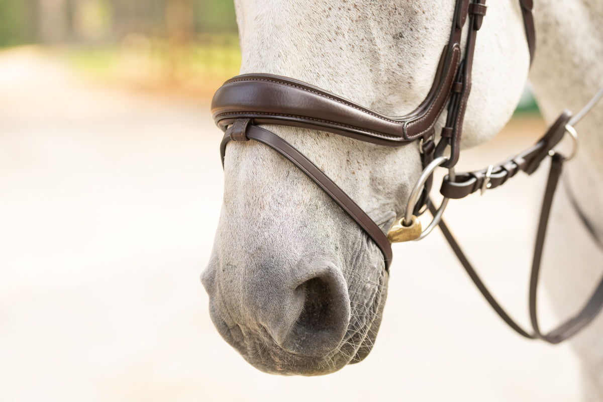 Hidden Flash! Pro-Fit Comfortable Bridle in Havana Brown or Black with Flash Noseband and Clincher Browband