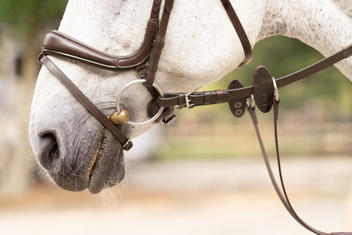 Hidden Flash! Pro-Fit Comfortable Bridle in Havana Brown or Black with Flash Noseband and Clincher Browband