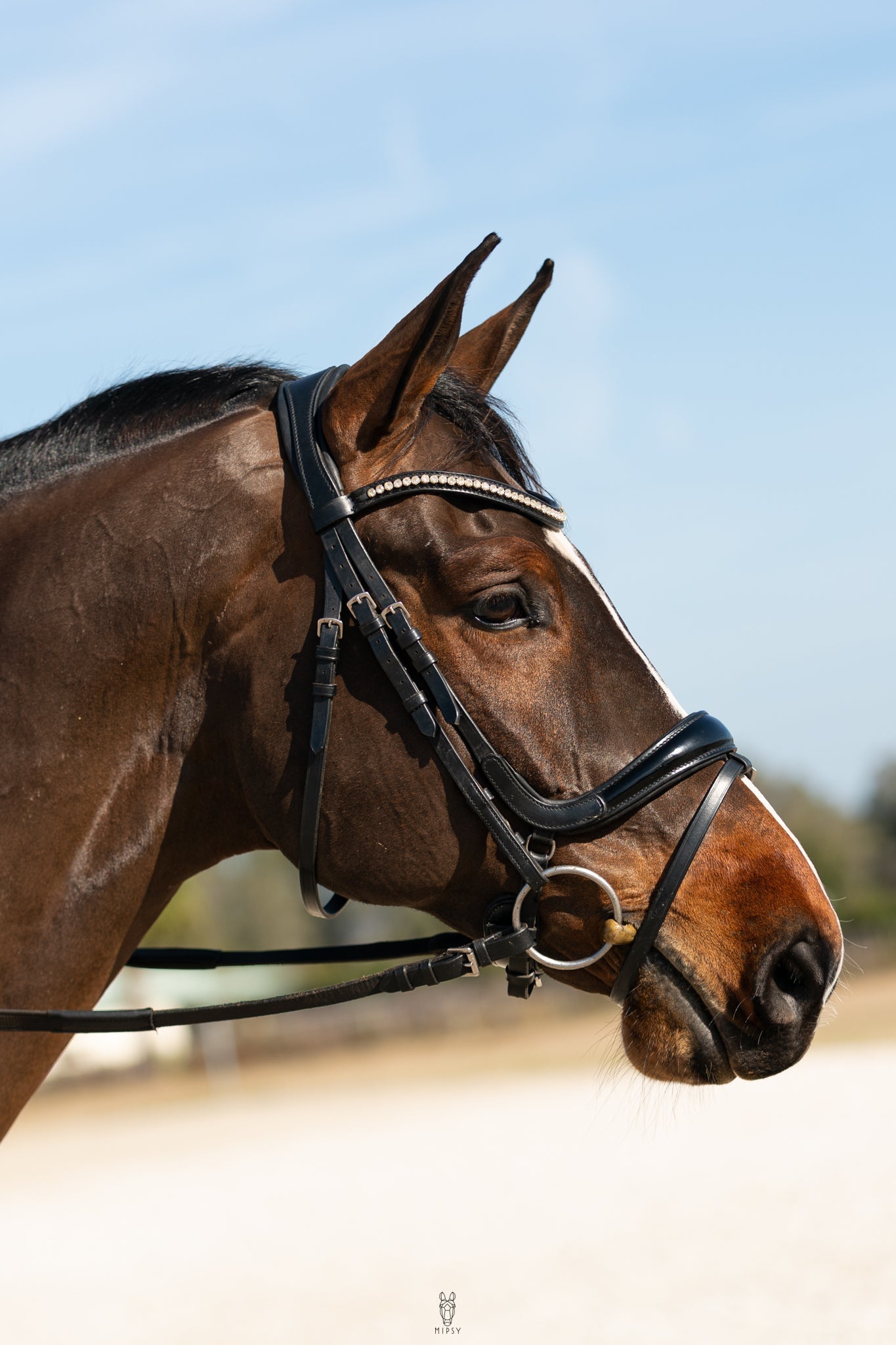 Hidden Flash! Pro-fit Comfortable Bridle with Patent Noseband and Crystal Browband
