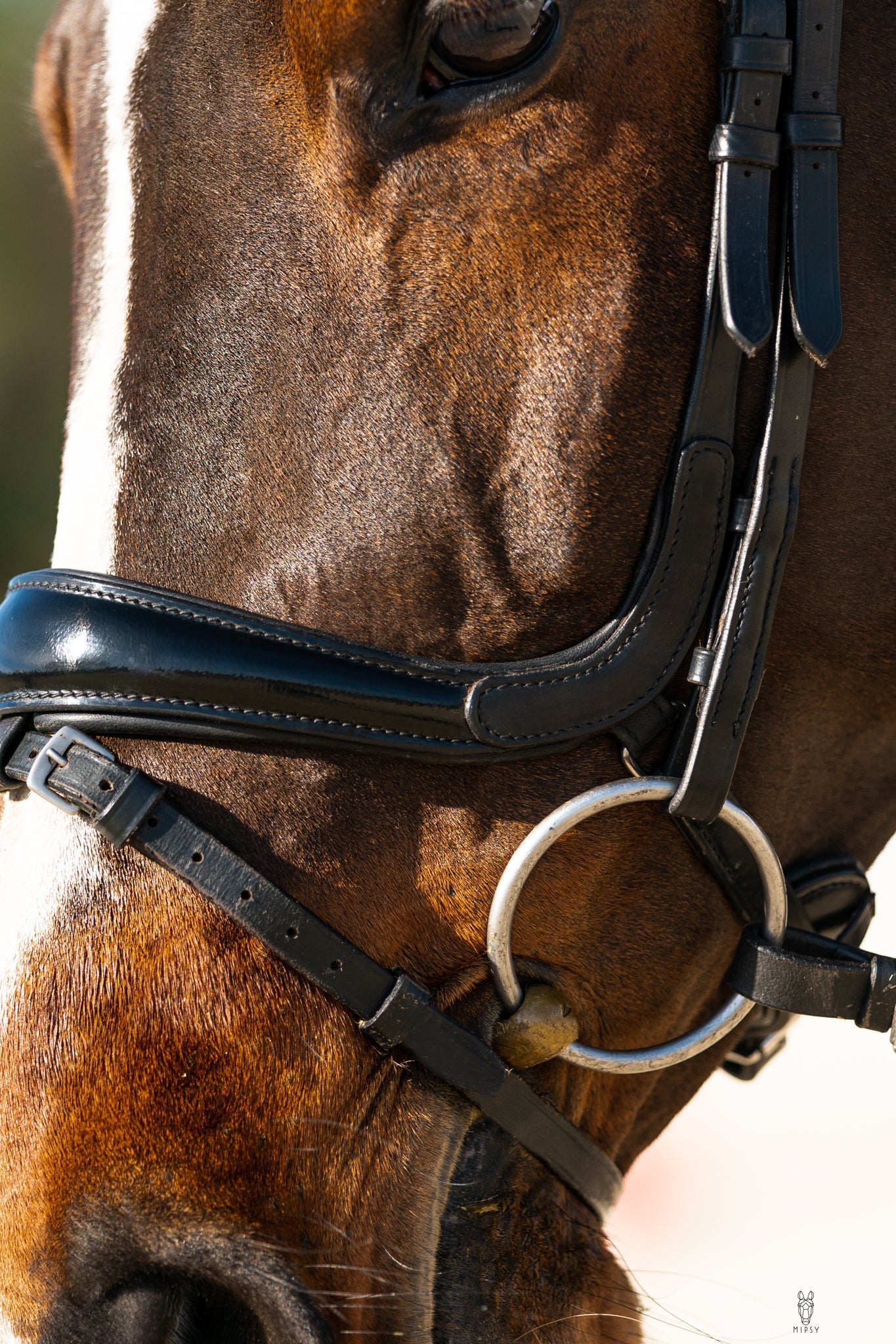 Hidden Flash! Pro-fit Comfortable Bridle with Patent Noseband and Crystal Browband