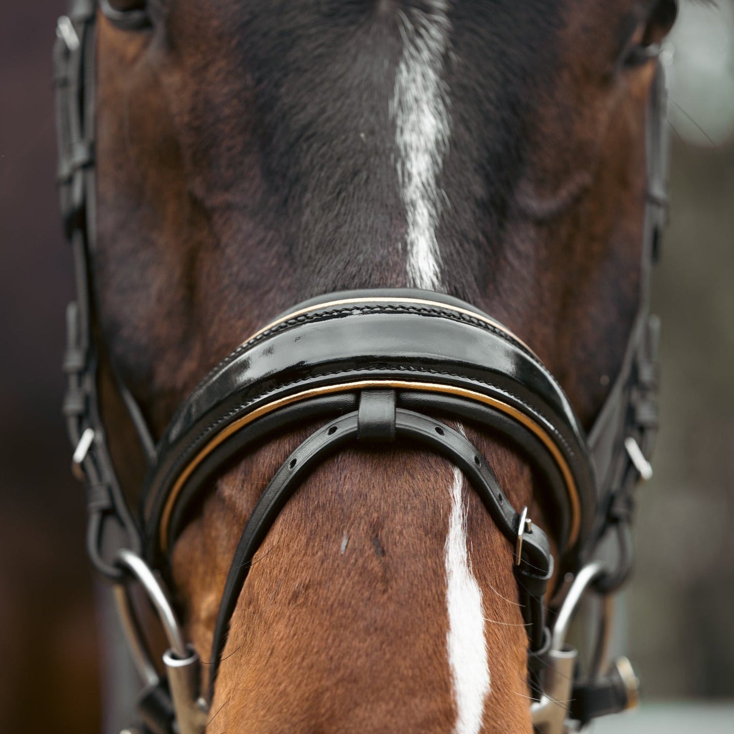 Geneva - Black Patent Snaffle Bridle with Metallic Gold Piping with Removable Flash