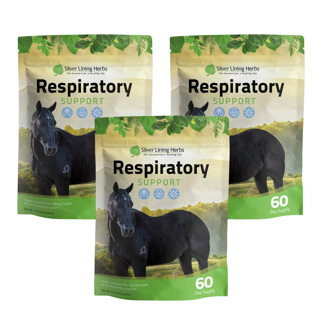 Respiratory Support for Horses