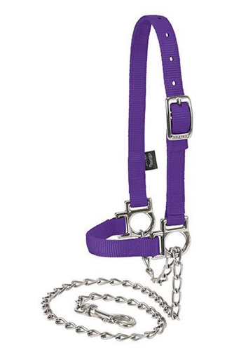 Nylon Adjustable Sheep Halter with Chain Lead