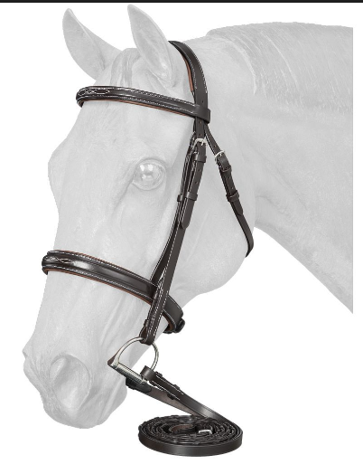 Equitare Cadence Hunter Bridle