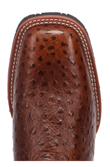 Men's Stride Leather Boot by Dan Post