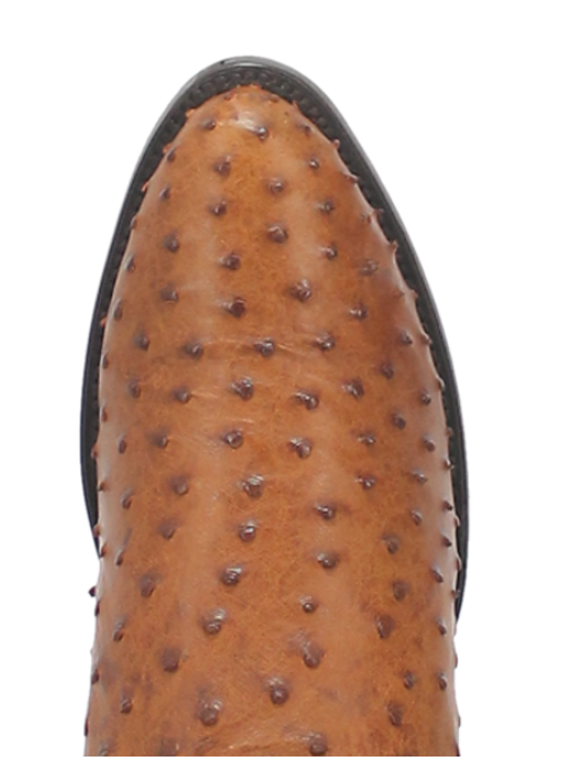 Men's Tempe Full Quill Ostrich Boot by Dan Post