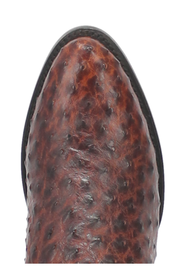 Men's Pershing Full Quill Ostrich Boot by Dan Post