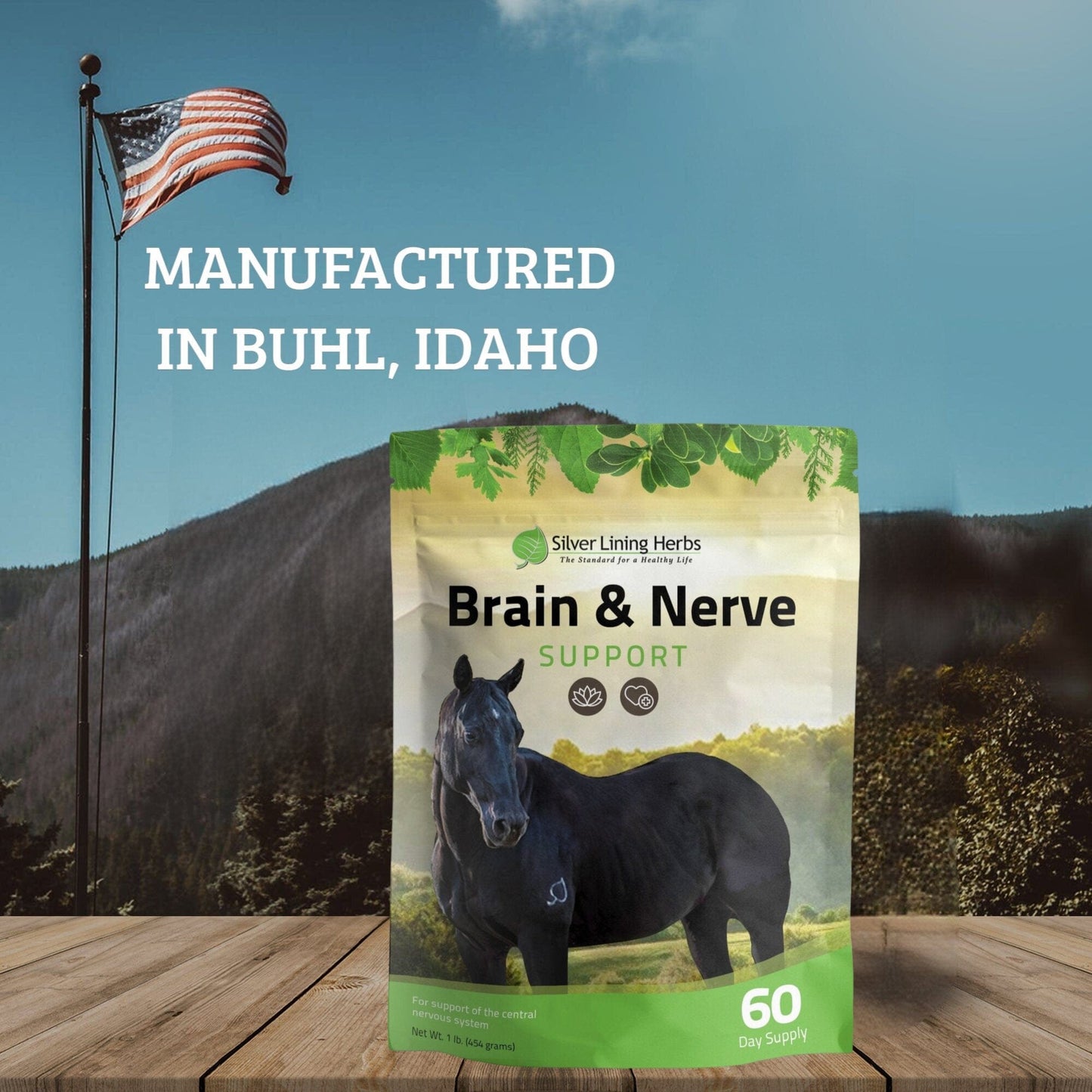 Brain & Nerve Support for Horses