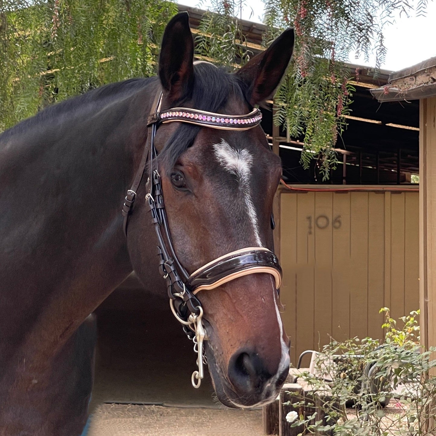 Florence - Brown Patent Leather Double Bridle with Cream Padding & Rose Gold Piping