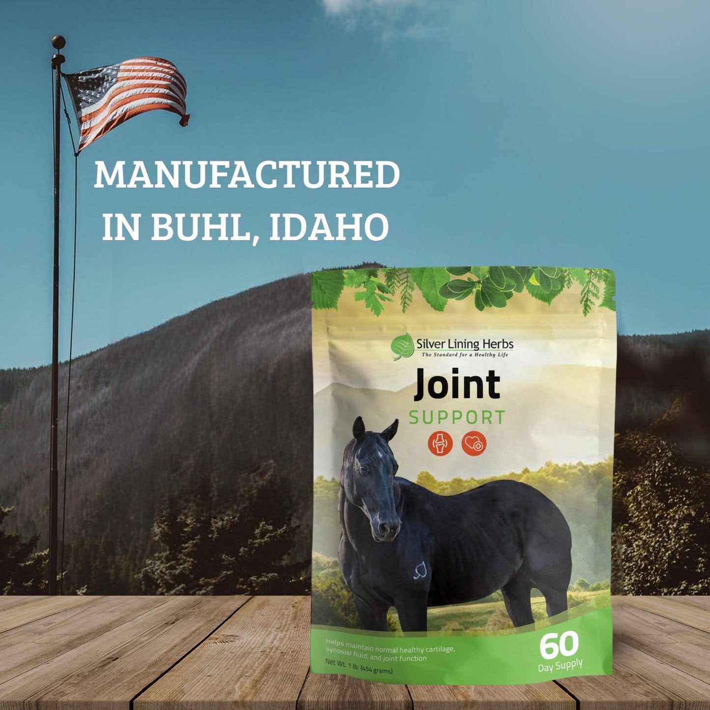 Joint Support for Horses