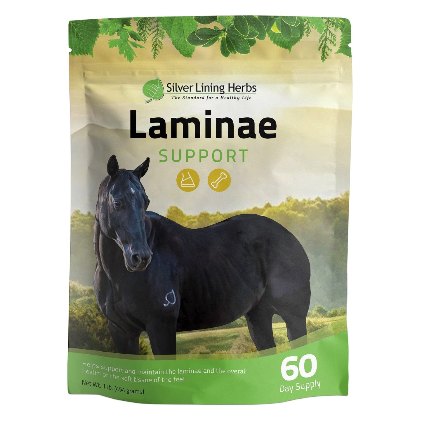 Laminae Support for Horses