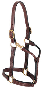 Thoroughbred Halter with Snap, 1-1/8" Large Horse