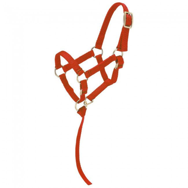 Miniature Nylon Halter