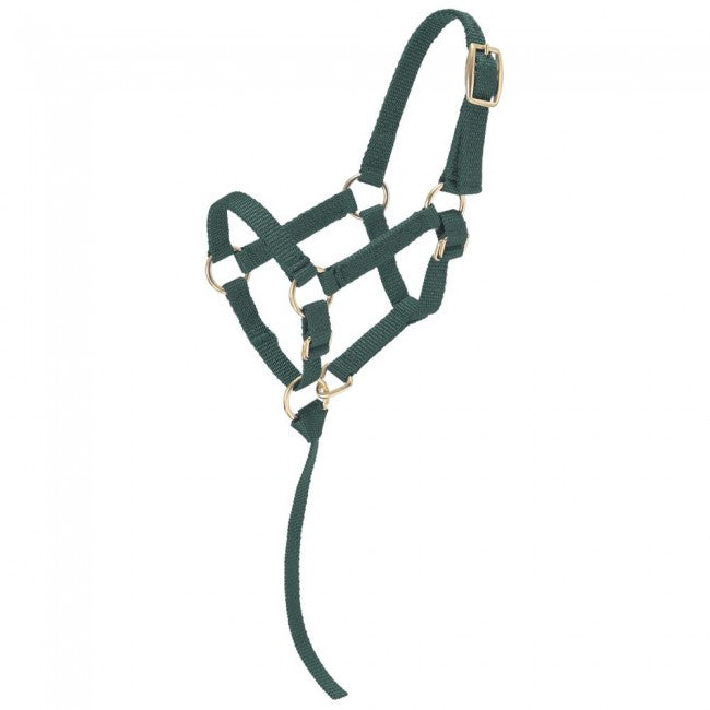 Miniature Nylon Halter