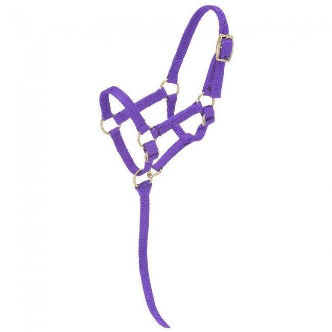 Miniature Nylon Halter