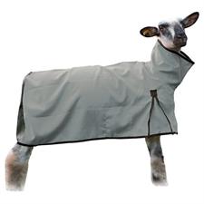 Sheep Blanket, Mesh Butt, Medium