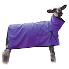 Sheep Blanket, Mesh Butt, Medium