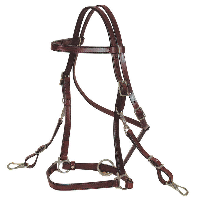 Trail Halter Bridle by Circle Y