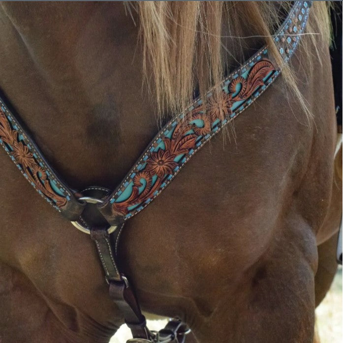 Bronco Blue Texas Flower Breast Collar by Circle Y