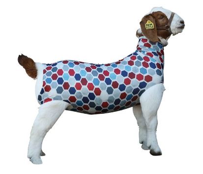 Spandex Goat Tube, Medium