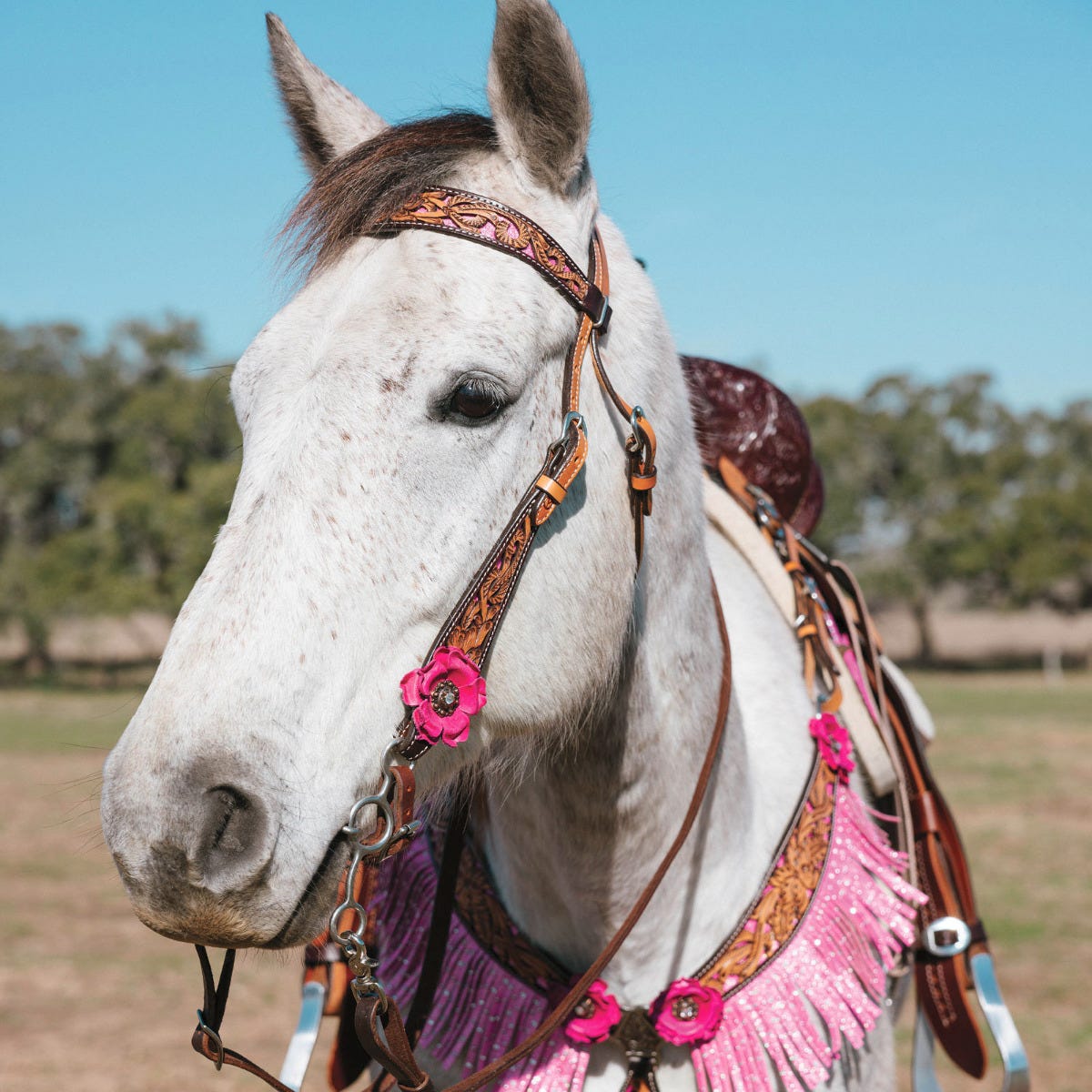 Malibu One Ear Headstall by Circle Y