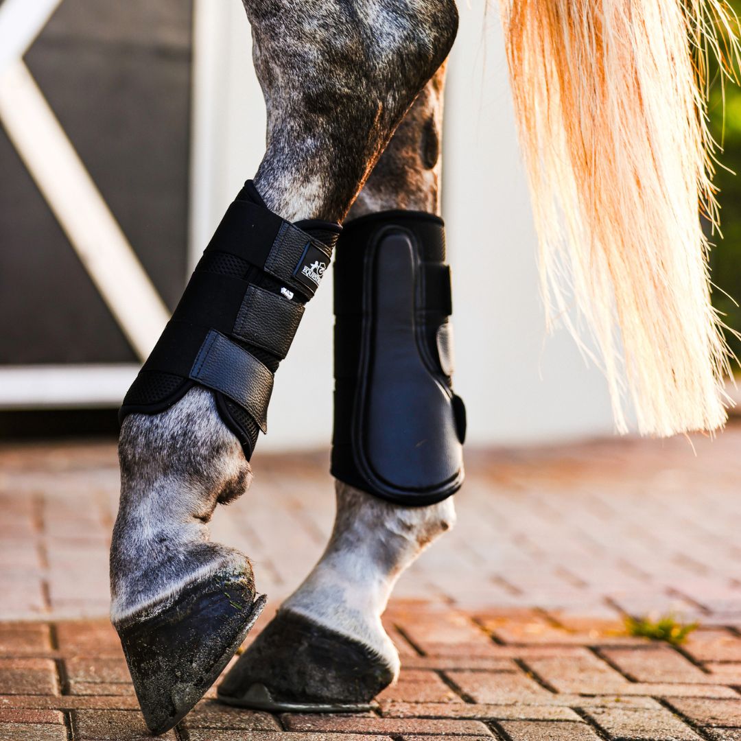 B&W - Black Brushing Boots (Set of 4)