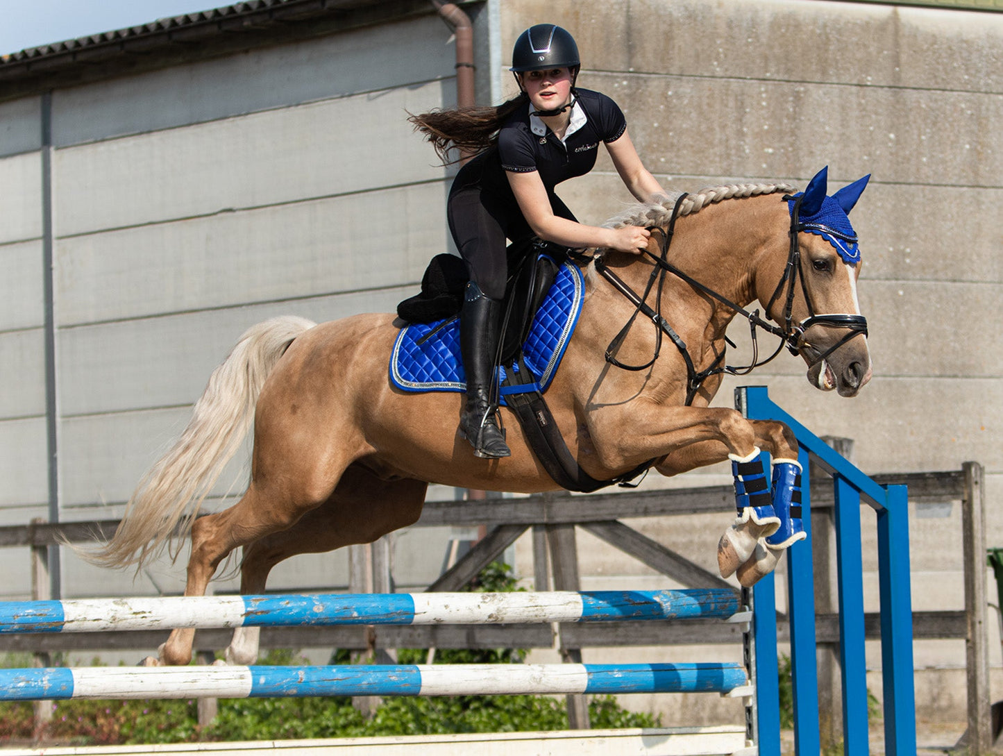 Majorelle Blue Saddle Pad Set