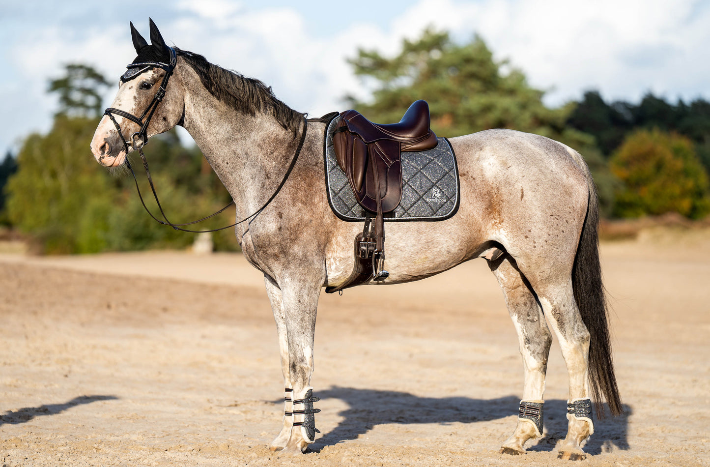 Stardust Grey Saddle Pad Set