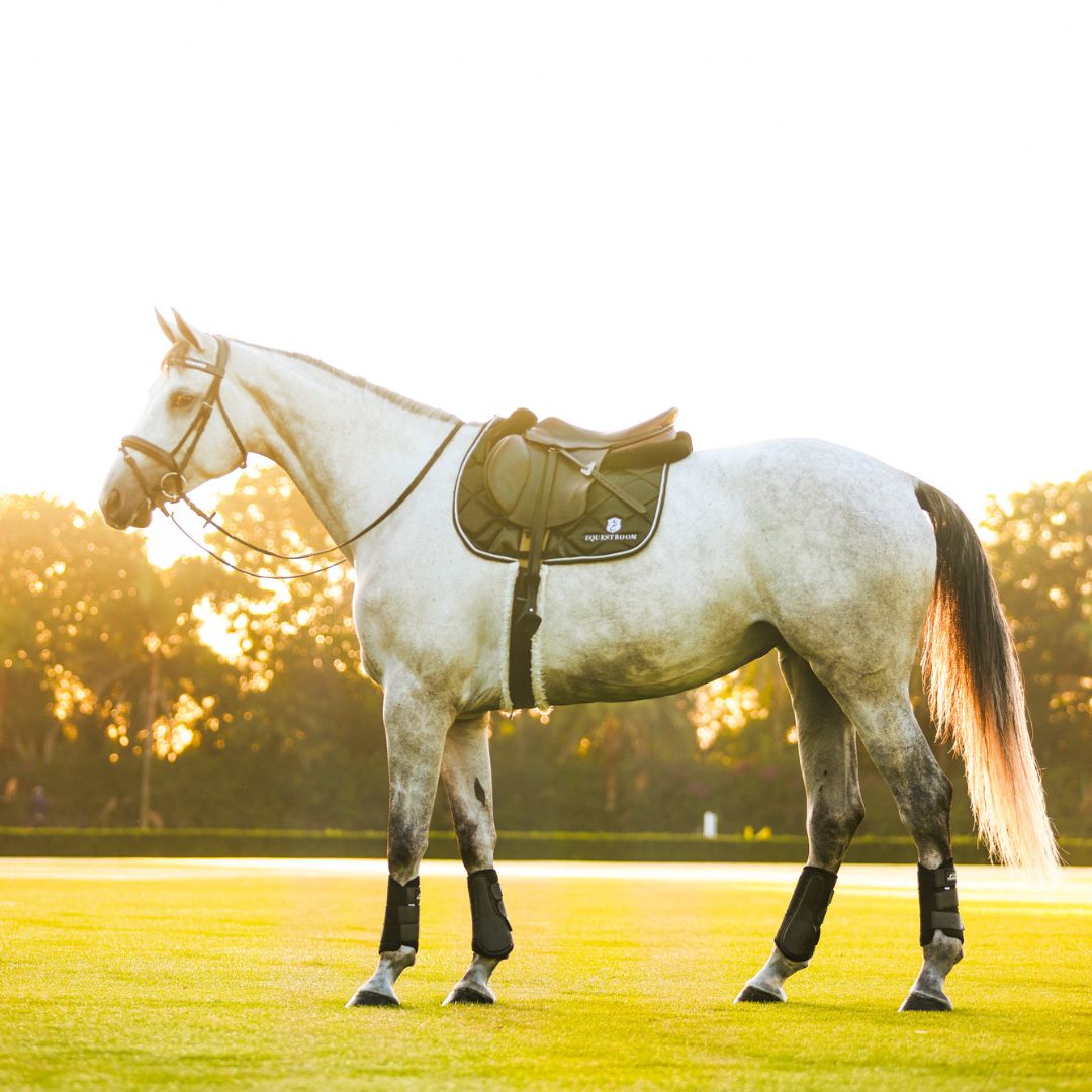 B&W - Black Saddle Pad