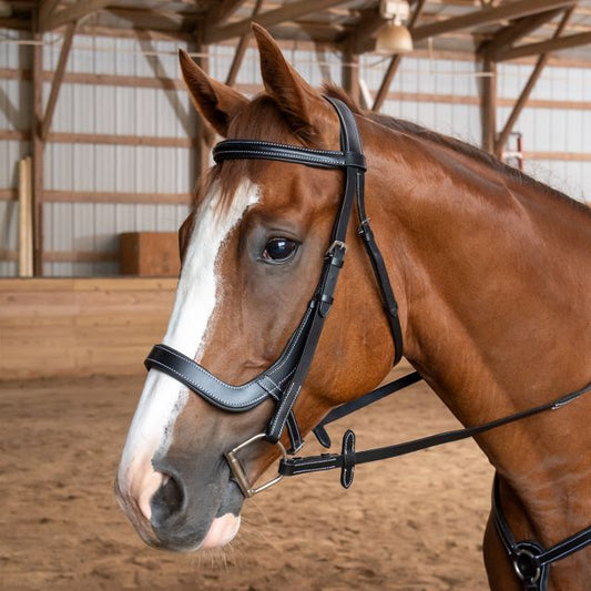 Equitare Cadence Ergonomic Bridle