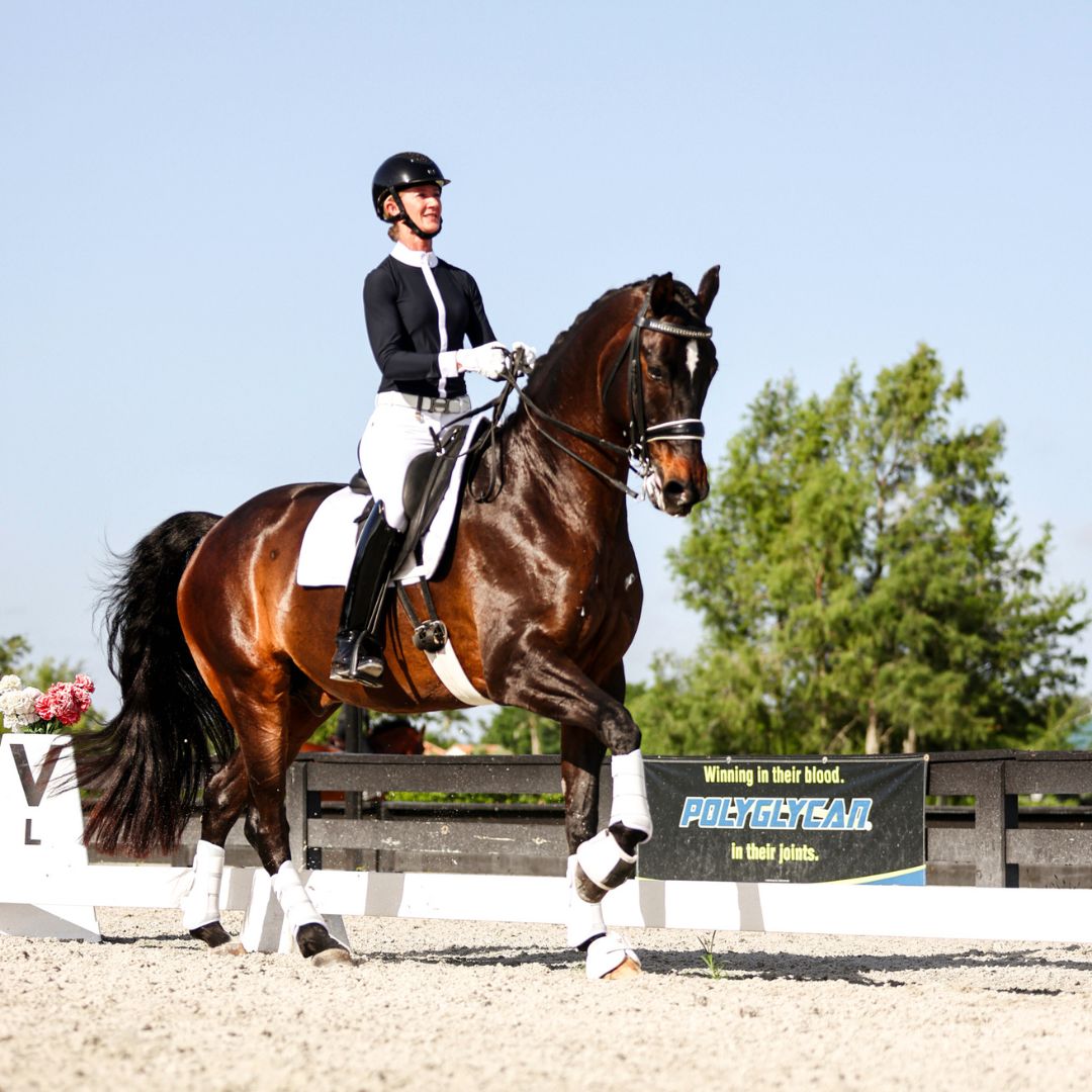 B&W - White Brushing Boots (Set of 4)