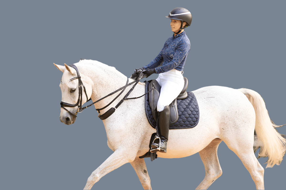 3-in-1 Training Breastplate