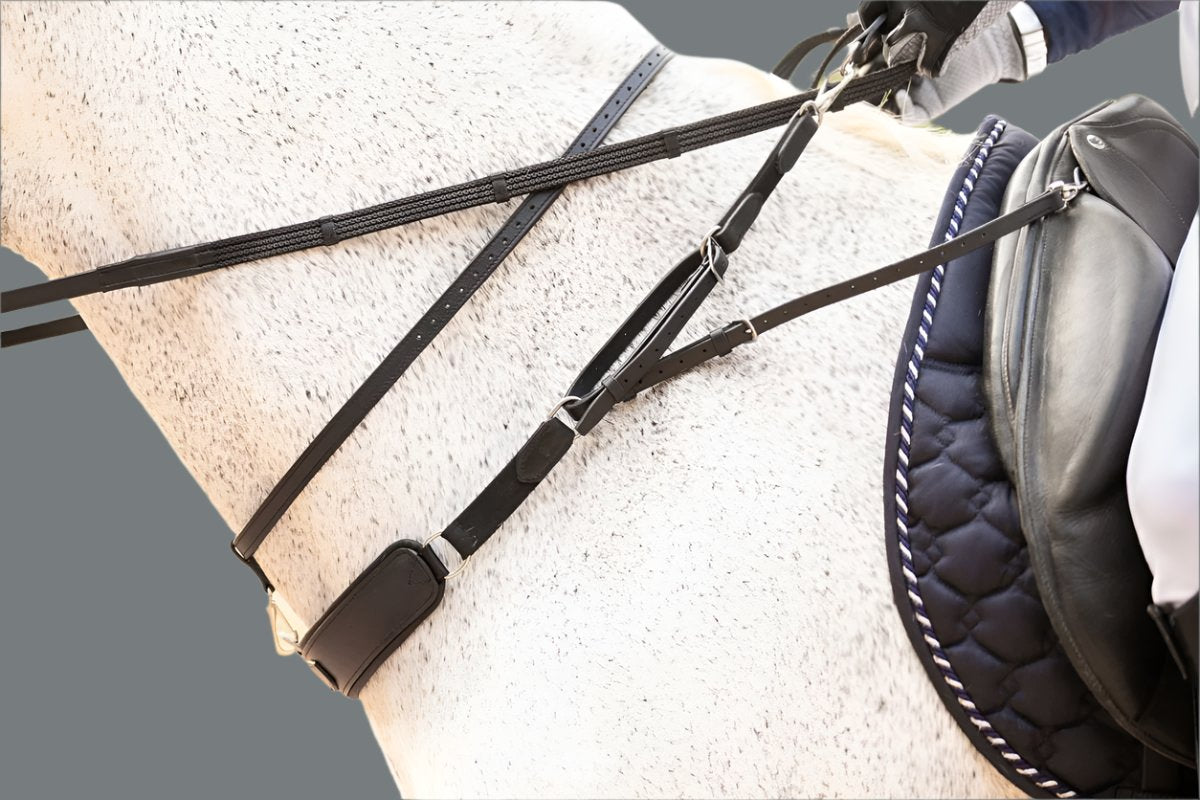 3-in-1 Training Breastplate