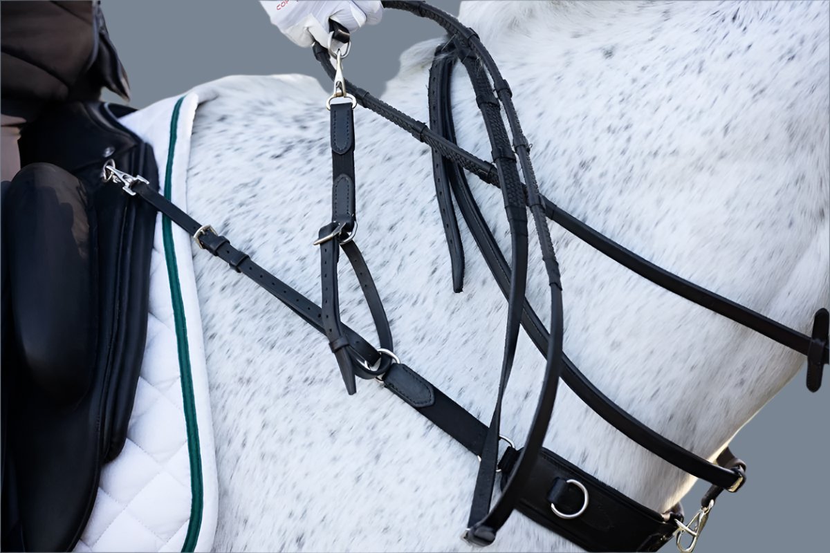 3-in-1 Training Breastplate