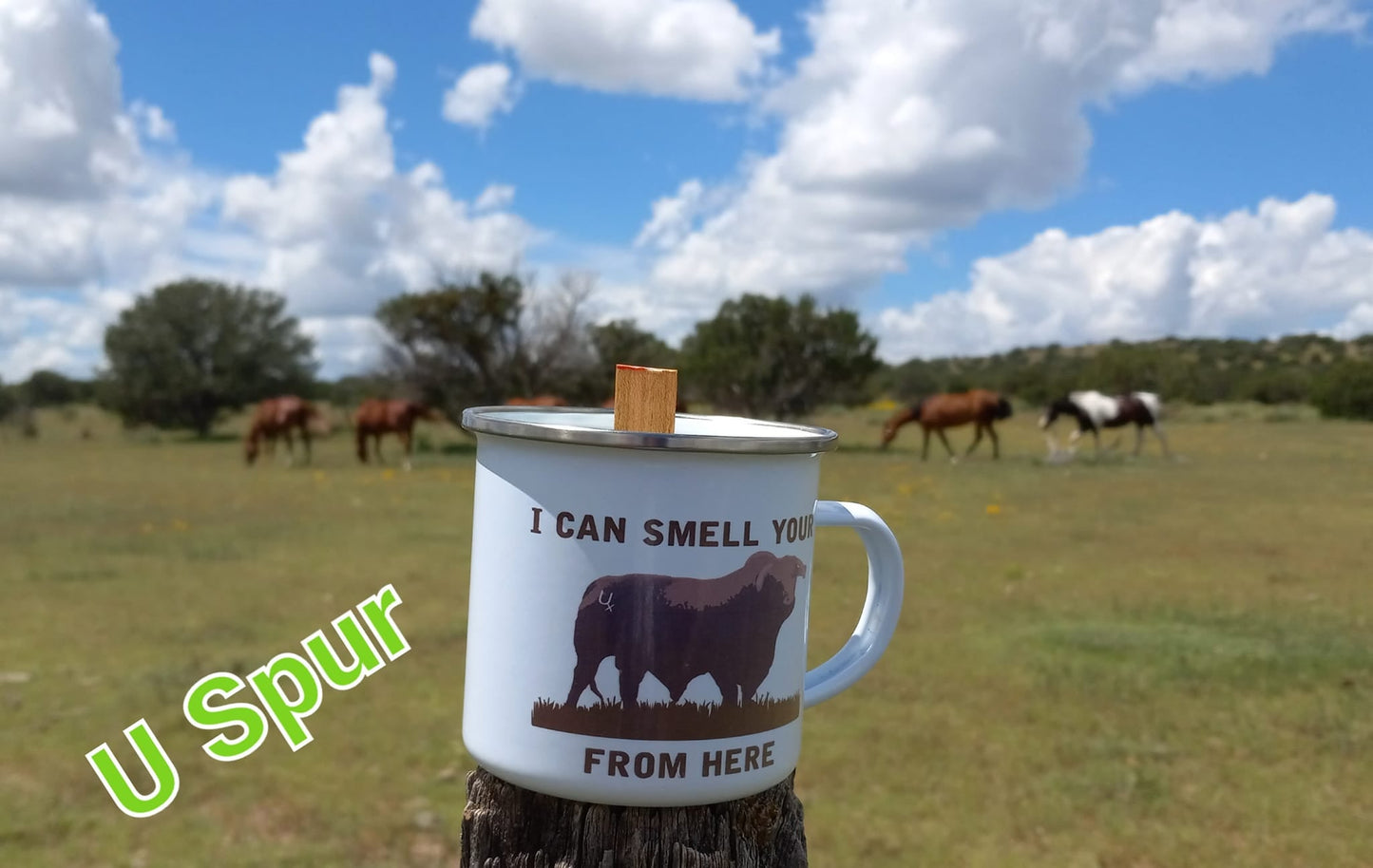 Camp cup candles