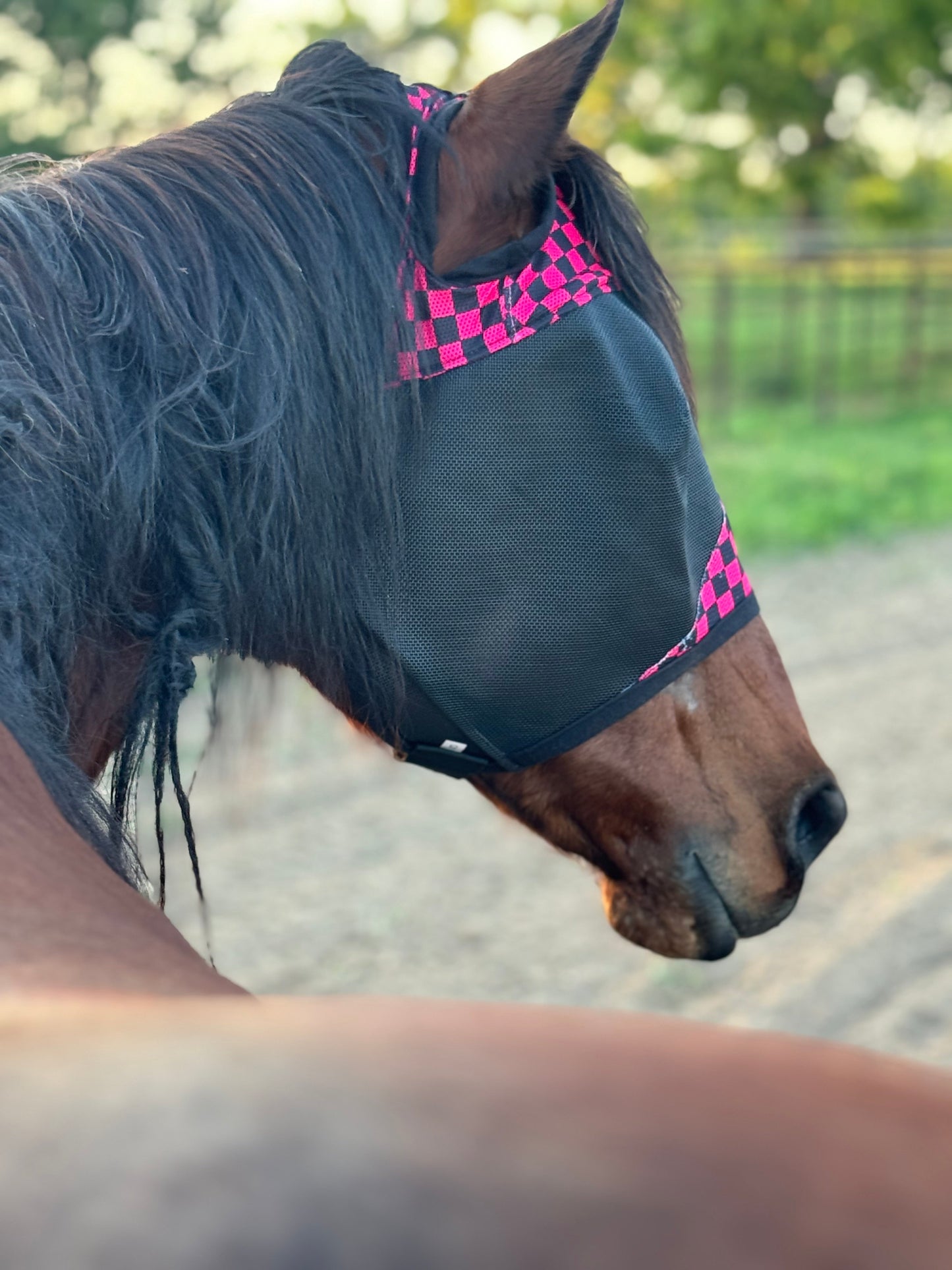 Fly Mask