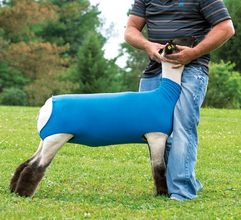 Weaver Spandex Lamb Tube