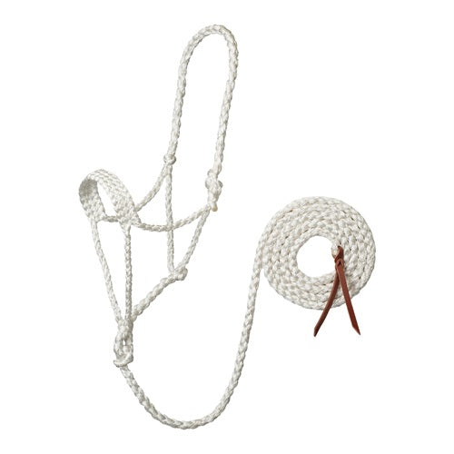 Weaver Braided  Mule Tape Halter with 6' Lead